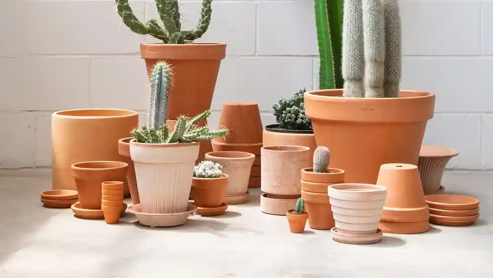 Best Indoor Ceramic Plant Pots