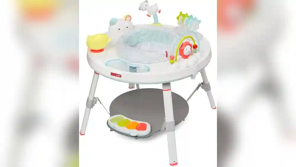 Skip Hop Activity Center
